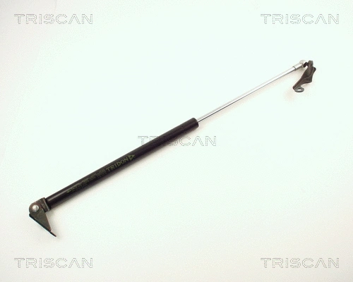 Gas Spring, boot/cargo area (8710 13248)