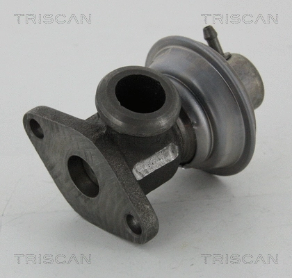 EGR Valve (8813 25011)