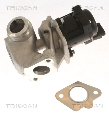 EGR Valve (8813 10018)