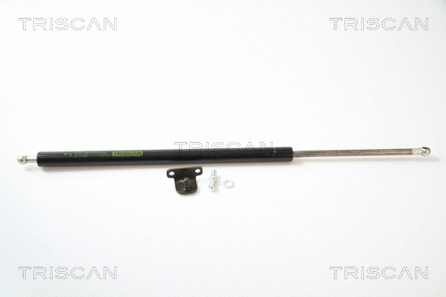 Gas Spring, boot/cargo area (8710 42223)