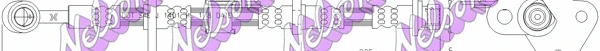 Brake Hose (H4403)