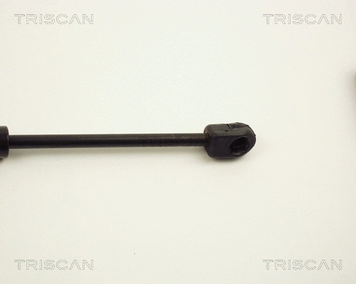 Gas Spring, boot/cargo area