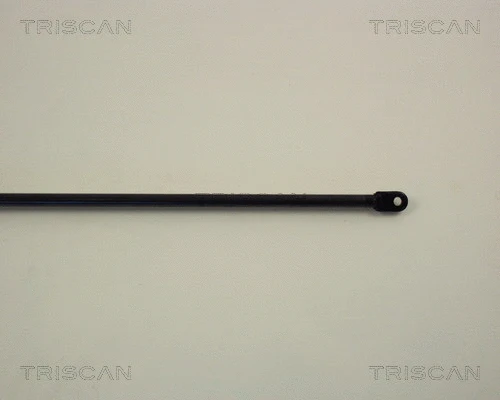 Gas Spring, boot/cargo area