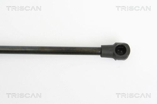 Gas Spring, boot/cargo area