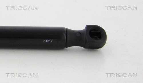 Gas Spring, boot/cargo area