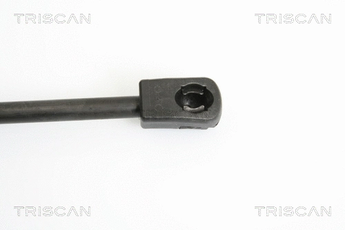 Gas Spring, boot/cargo area