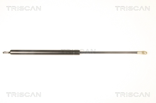 Gas Spring (8710 9003)