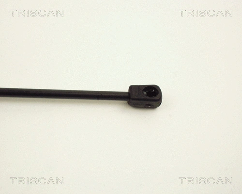 Gas Spring, boot/cargo area