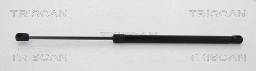 Gas Spring, boot/cargo area (8710 10211)