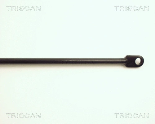 Gas Spring, bonnet