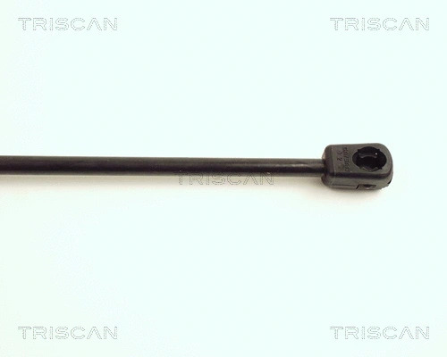 Gas Spring, boot/cargo area