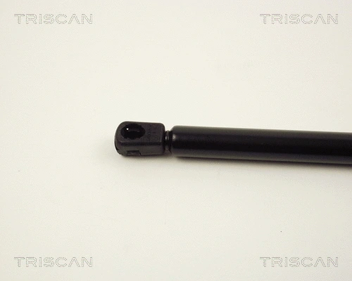 Gas Spring, boot/cargo area