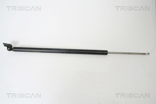 Gas Spring, boot/cargo area (8710 43213)