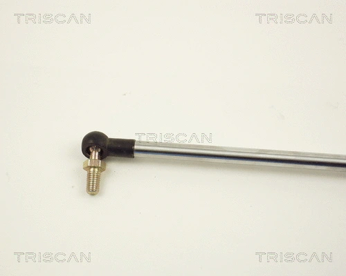 Gas Spring, boot/cargo area