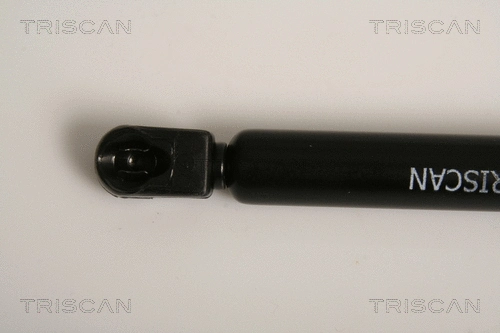 Gas Spring, boot/cargo area