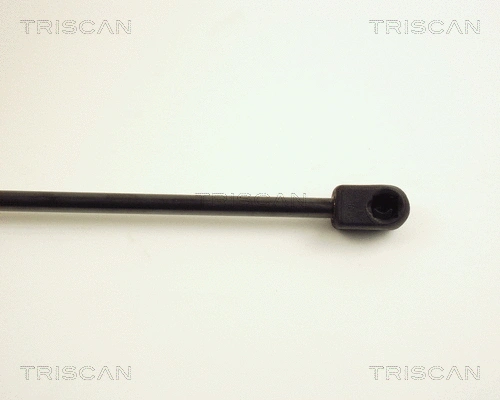 Gas Spring, boot/cargo area