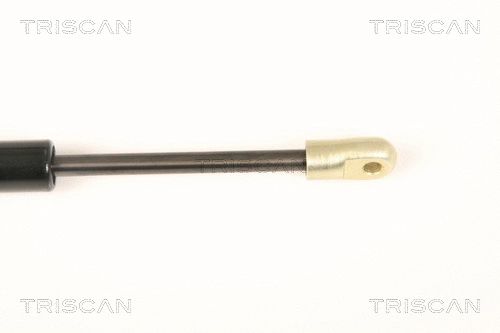 Gas Spring, boot/cargo area