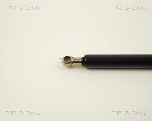 Gas Spring, boot/cargo area