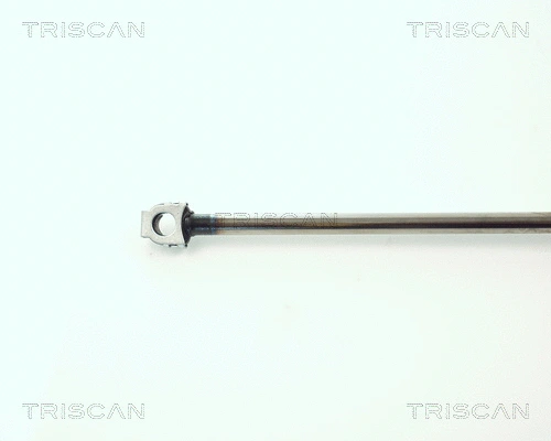 Gas Spring, boot/cargo area
