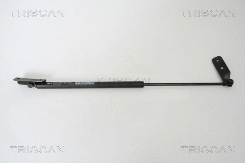 Gas Spring, boot/cargo area (8710 69219)