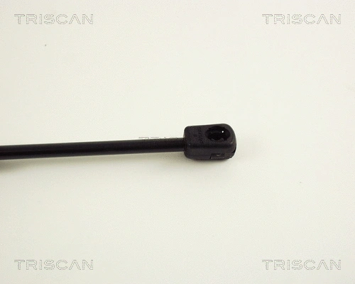 Gas Spring, boot/cargo area