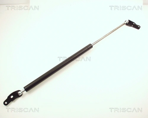 Gas Spring, boot/cargo area (8710 13232)