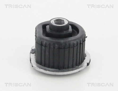 Bushing, axle beam (8500 23893)