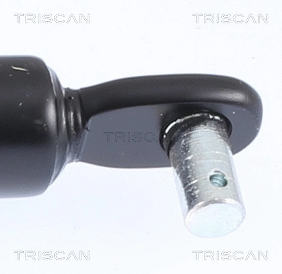 Gas Spring, boot/cargo area