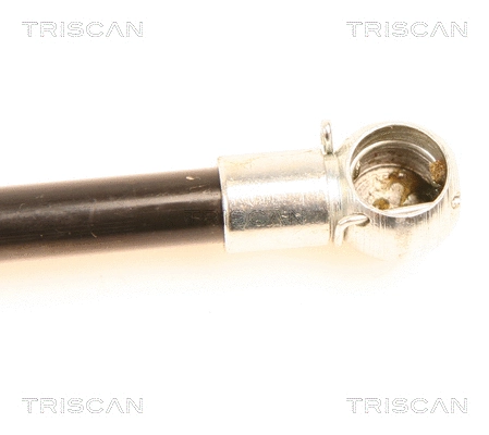 Gas Spring, boot/cargo area