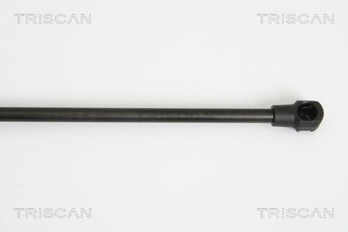 Gas Spring, boot/cargo area