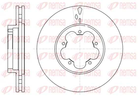 Brake Disc (61021 10)