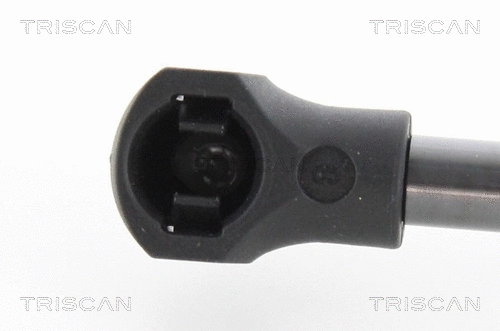 Gas Spring, boot/cargo area