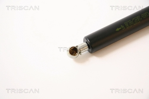 Gas Spring, boot/cargo area