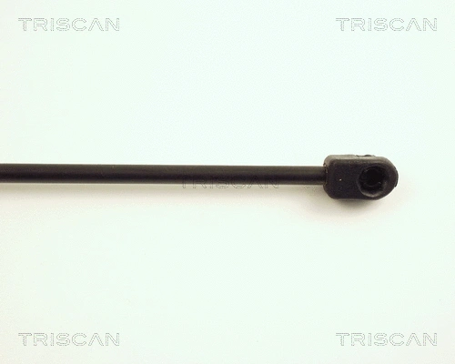 Gas Spring, boot/cargo area