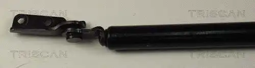 Gas Spring, boot/cargo area