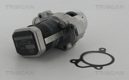 EGR Valve