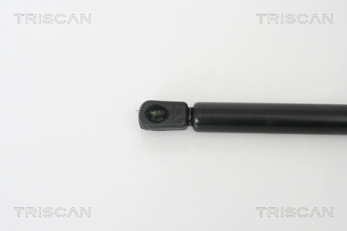 Gas Spring, boot/cargo area