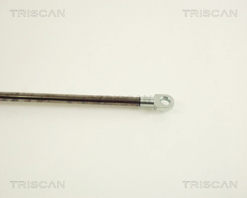 Gas Spring, boot/cargo area