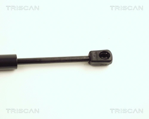 Gas Spring, bonnet