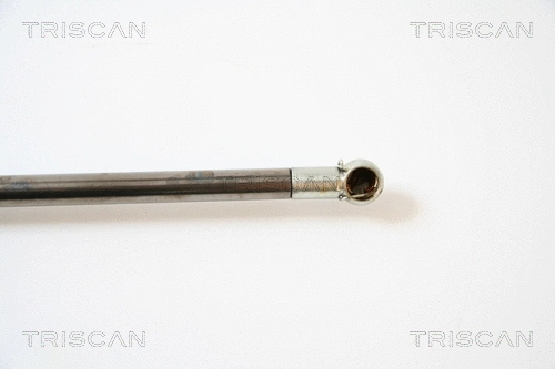 Gas Spring, boot/cargo area