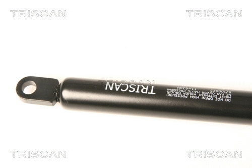 Gas Spring, front panel