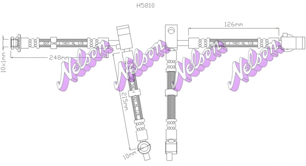 Brake Hose (H5810)