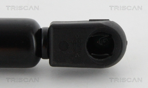 Gas Spring, boot/cargo area