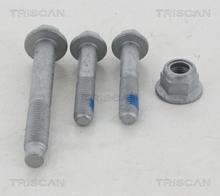 Repair Kit, wheel suspension (8500 10401)
