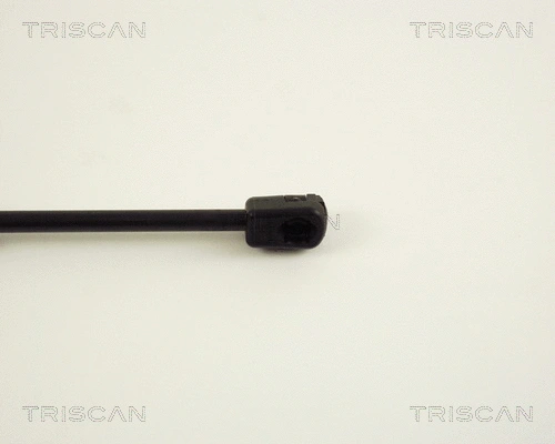 Gas Spring, boot/cargo area