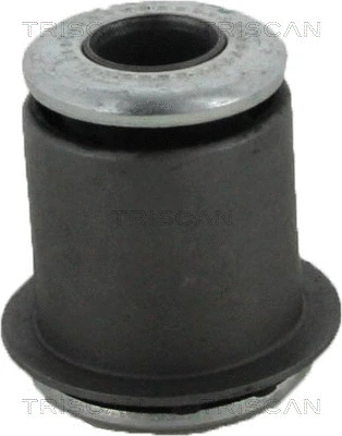 Mounting, control/trailing arm (8500 13823)