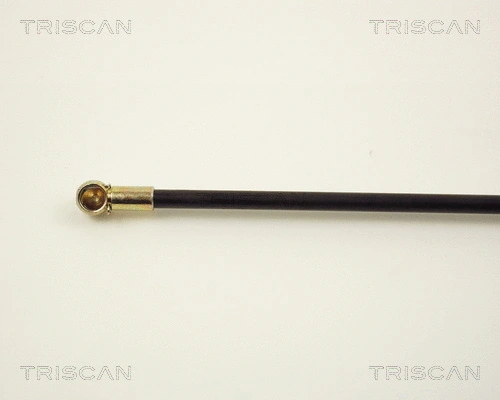 Gas Spring, boot/cargo area