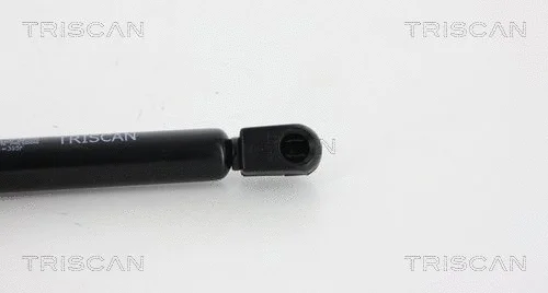 Gas Spring, boot/cargo area