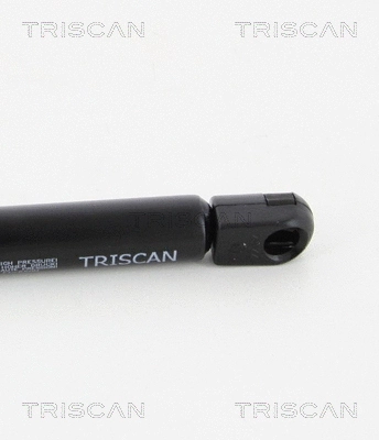 Gas Spring, boot/cargo area