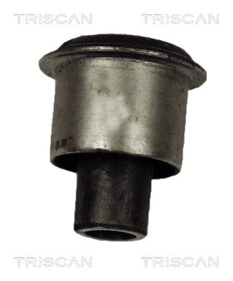 Mounting, control/trailing arm (8500 11803)